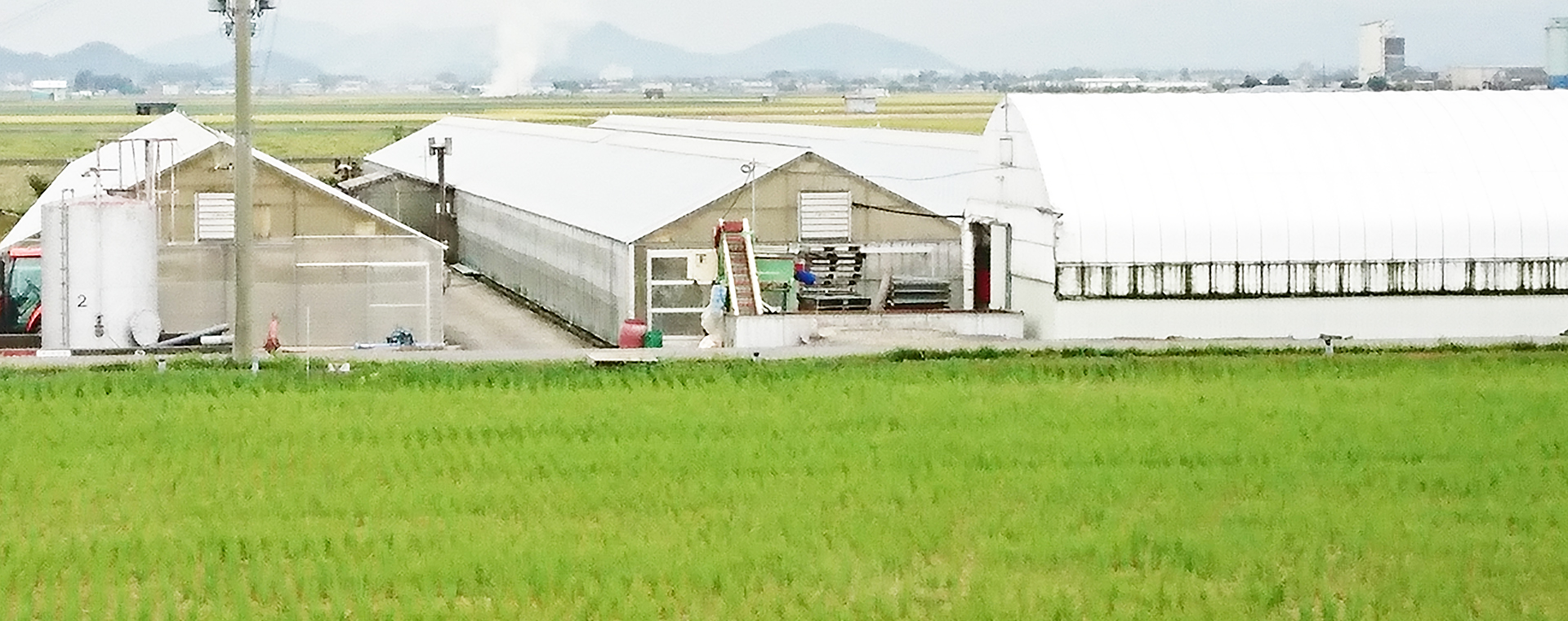 川南農園
